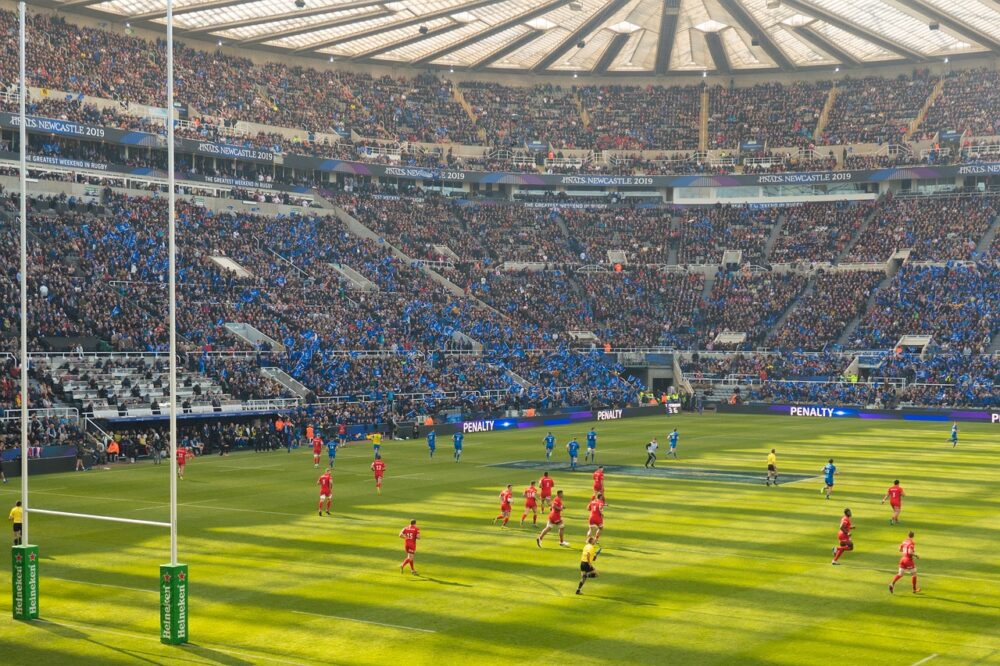 rugby, heineken cup, saracens