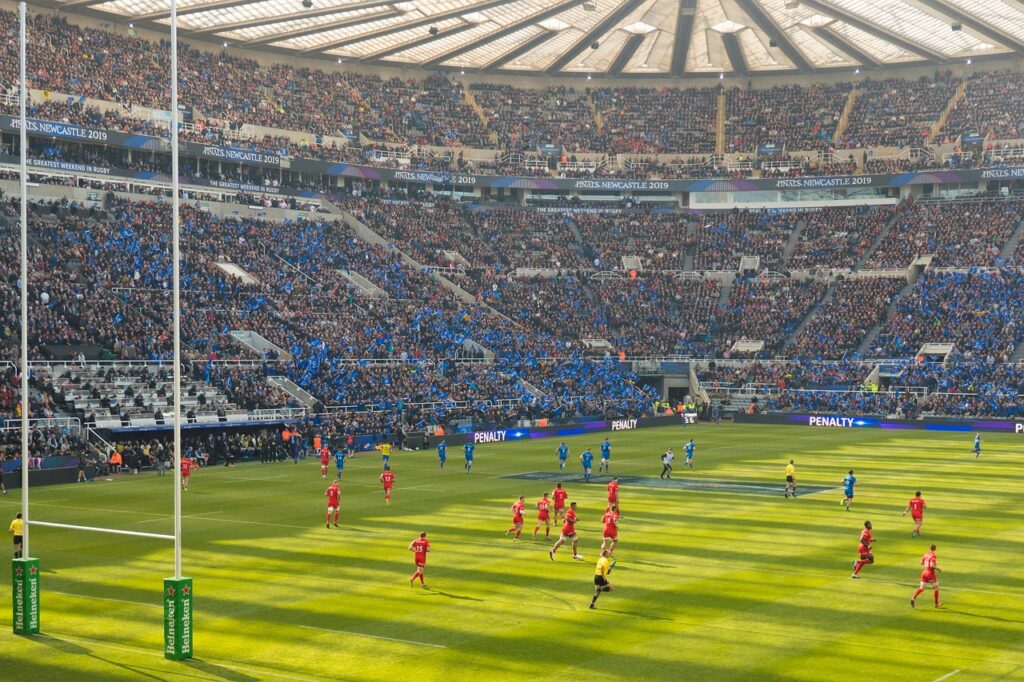 rugby, heineken cup, saracens
